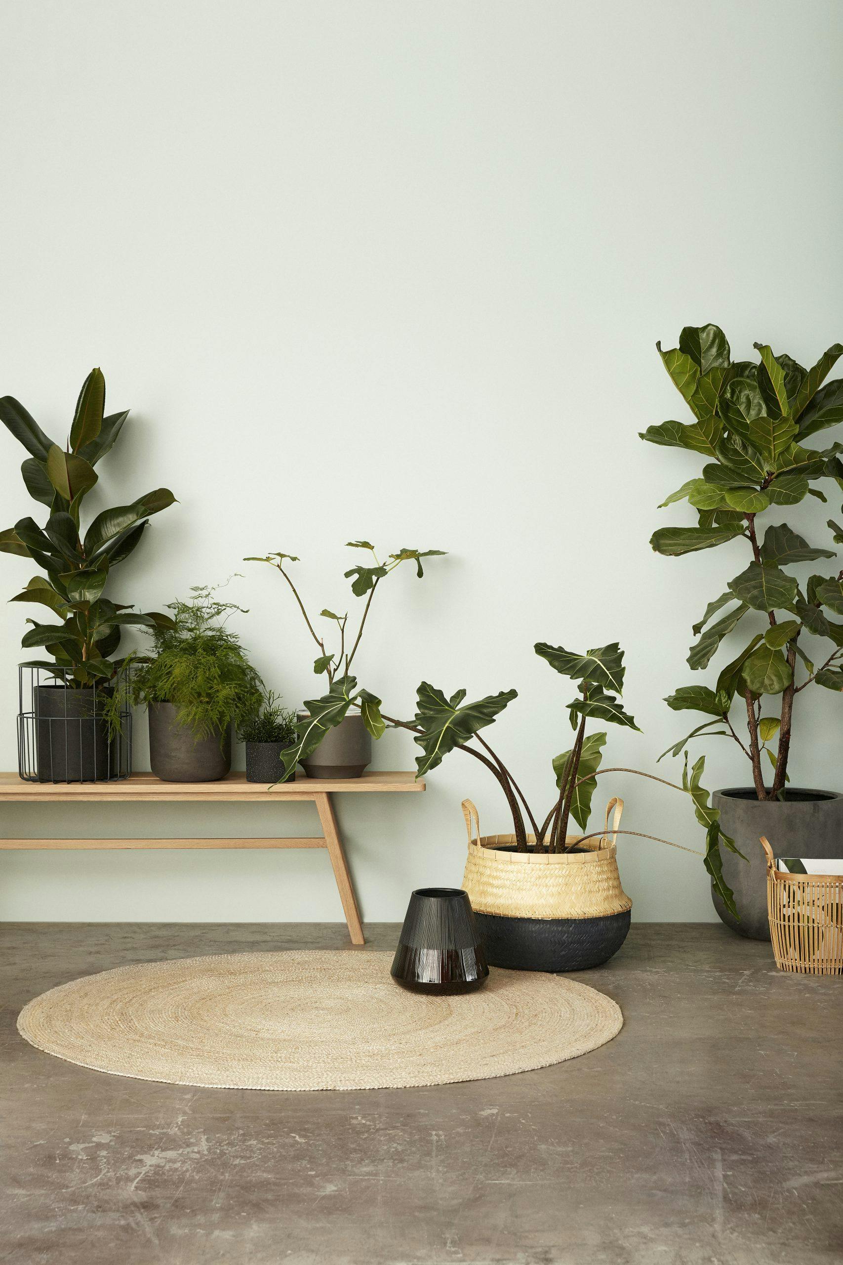 6. Bruk planter på en smart måte inspirasjon til innredning på liten plass